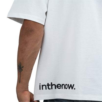 sample Y